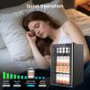 image28 Bottle15 Inches Wine Fridge Refrigerator for Red White Champagne Beer Temperature Range 41F68F Freestanding Builtin Dual Zone28 Silver32 Cuft